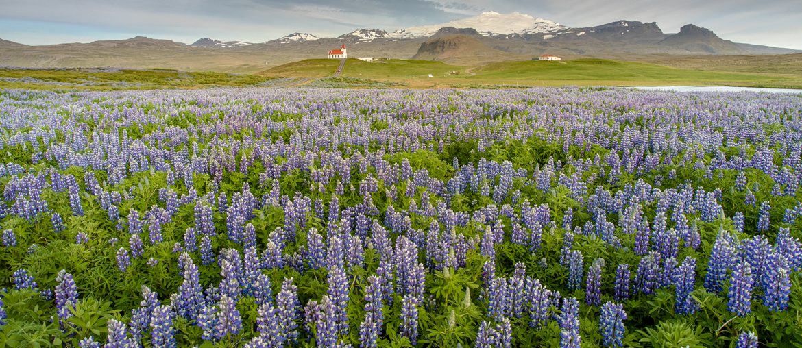 Ingjaldshóll white church with mountains