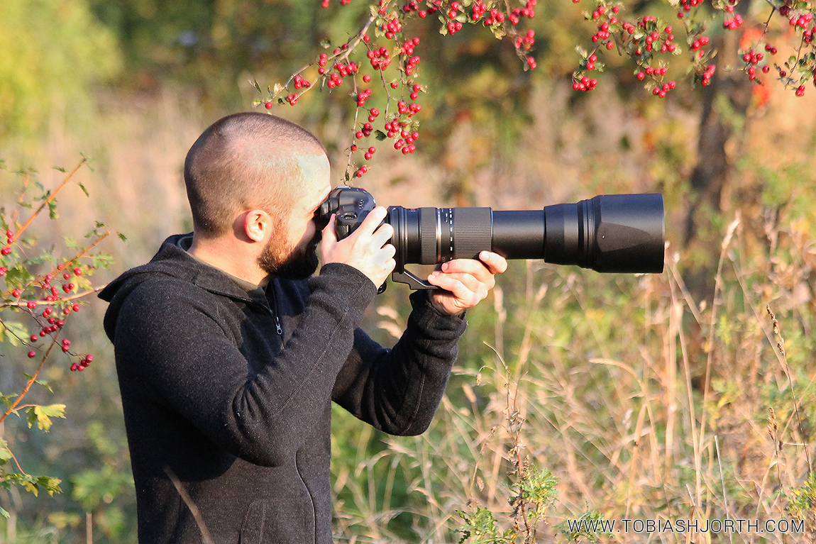 Tamron Sp 150 600mm F5 6 3 Vc Usd Review Tobias Hjorth Nature Photographer