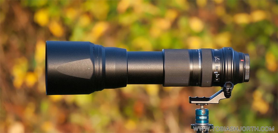 Tamron Sp 150 600mm F5 6 3 Vc Usd Review Tobias Hjorth Nature Photographer