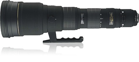 Sigma 300-800mm F5.6 EX HSM review • Tobias Hjorth Nature Photographer