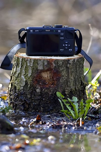 panasoniclumixdmcgf1_2