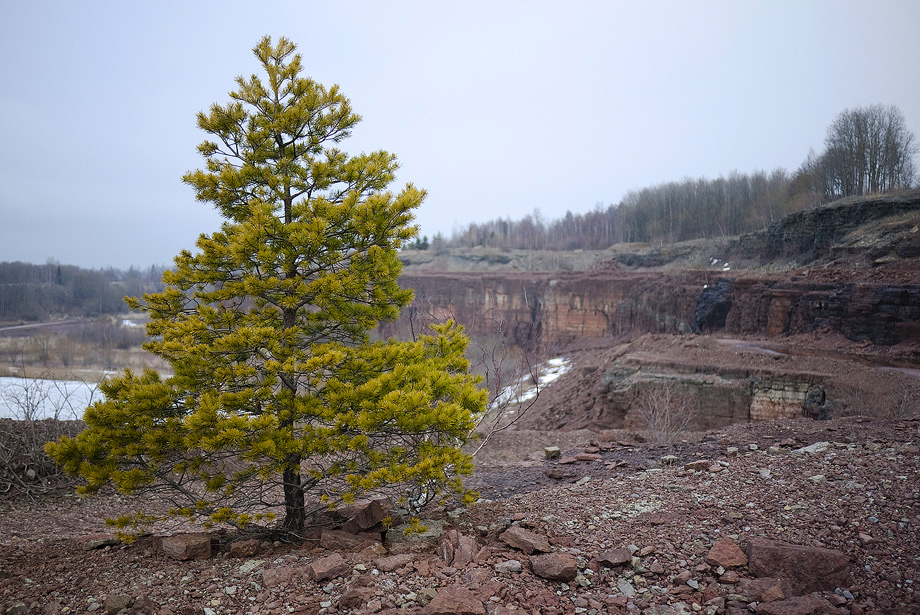 panasoniclumixdmcgf1sample