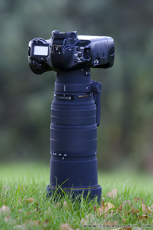 Sigma 120300mm F2.8 EX DG APO HSM review • Tobias Hjorth Nature Photographer