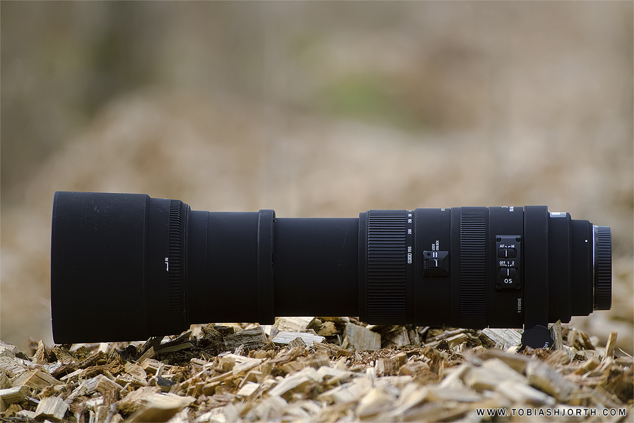 Bestaan paneel Anzai Sigma 150-500mm F5-6.3 APO DG OS HSM review • Tobias Hjorth Nature  Photographer