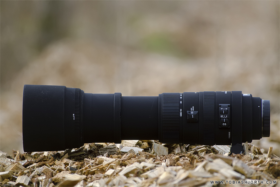 Sigma 150-500mm F5-6.3 APO DG OS HSM review • Tobias Hjorth Nature