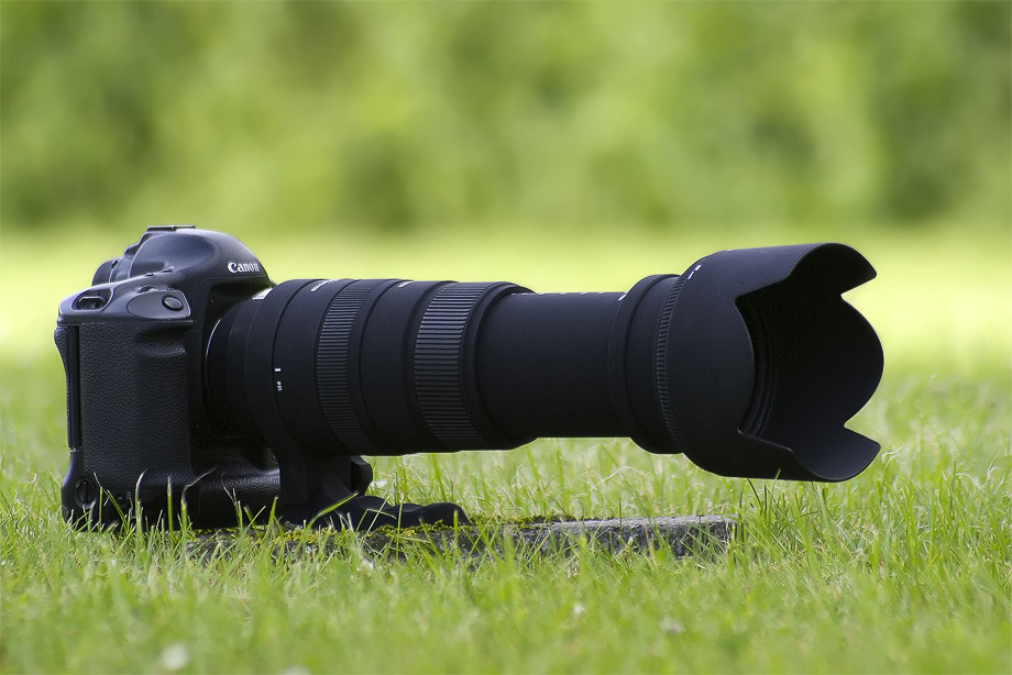 50-500mm F4.5-6.3 APO HSM review • Tobias Hjorth Nature Photographer