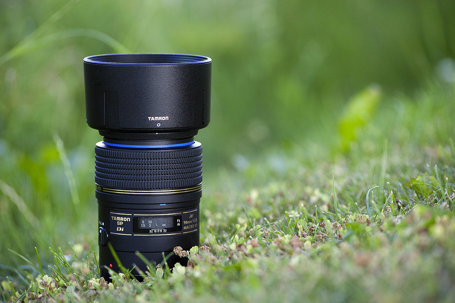 Tamron SP AF90mm F/2.8 Di 1:1 Macro review • Tobias Hjorth Nature