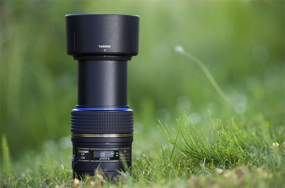 Tamron SP AF90mm F/2.8 Di 1:1 Macro review • Tobias Hjorth Nature