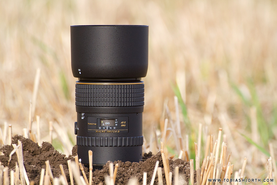 レビュー投稿で選べる特典 Tokina マクロレンズ AT-X M100 PRO D 100mm