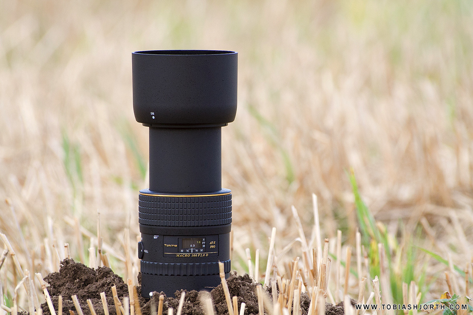 Tokina 100mm f/2.8 AT-X M100 AF Pro D Macro review • Tobias Hjorth